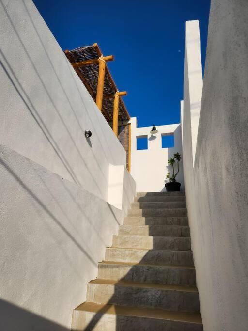Departamento Con Terraza Daire La Paz Dış mekan fotoğraf